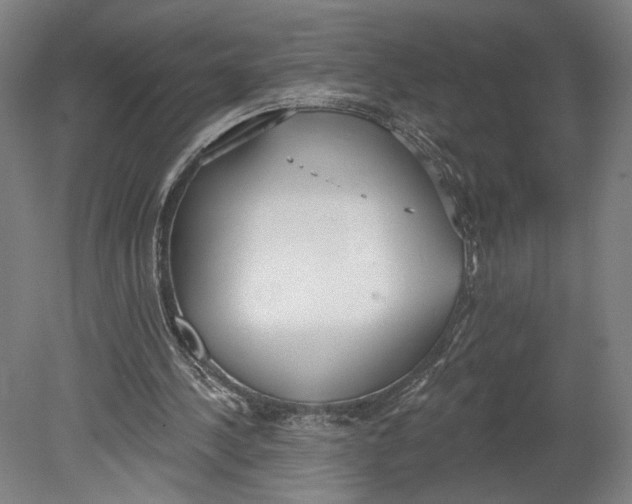 X0000080670244200701051015