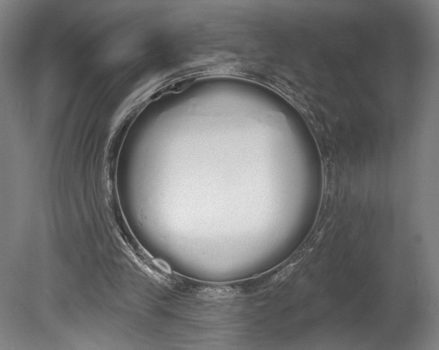 X0000080670245200701051015