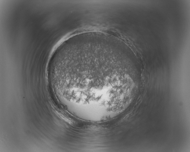 X0000080670246200701051015