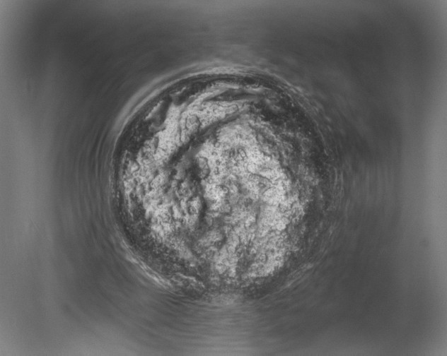 X0000080670247200701051015