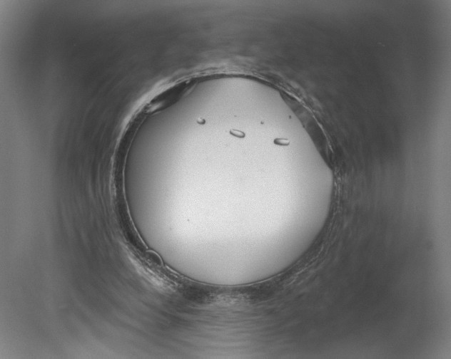 X0000080670248200701051016