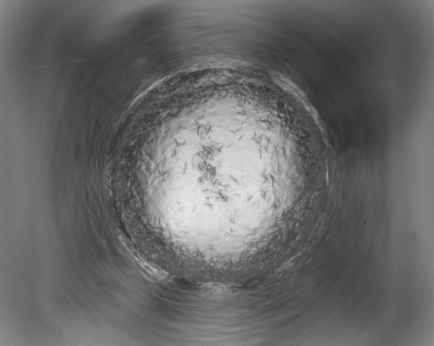 X0000080670249200701051016