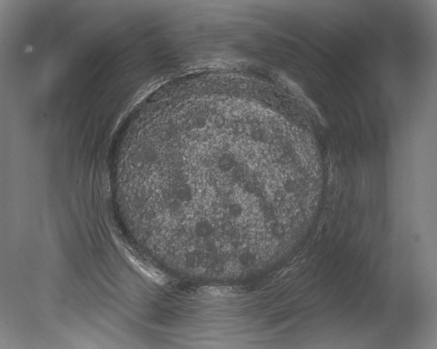 X0000080670250200701051016