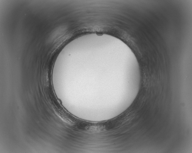 X0000080670251200701051016