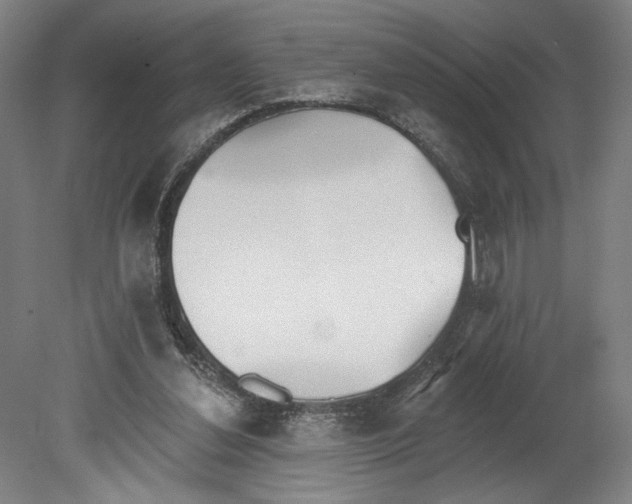 X0000080670252200701051016