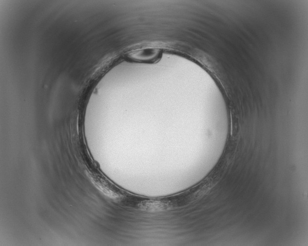 X0000080670253200701051016