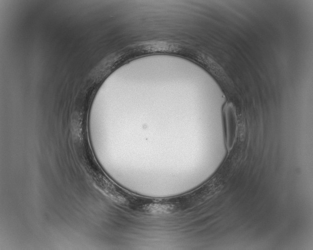 X0000080670255200701051016