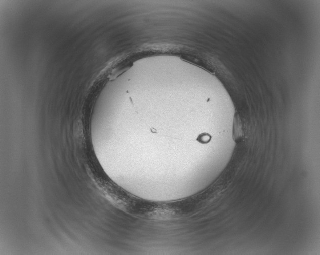 X0000080670256200701051016