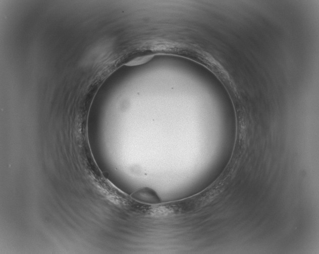 X0000080670257200701051016