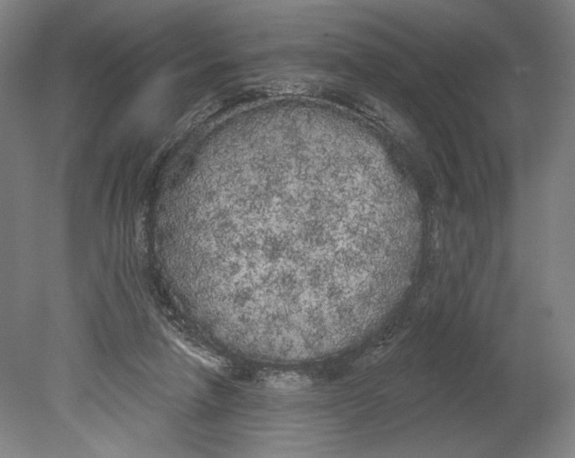 X0000080670258200701051016