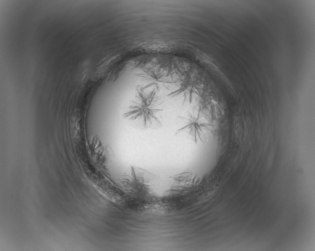 X0000080670259200701051016