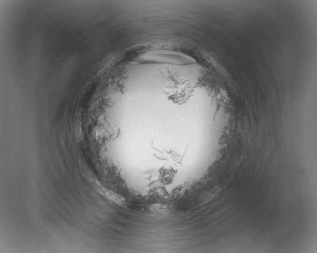 X0000080670261200701051016