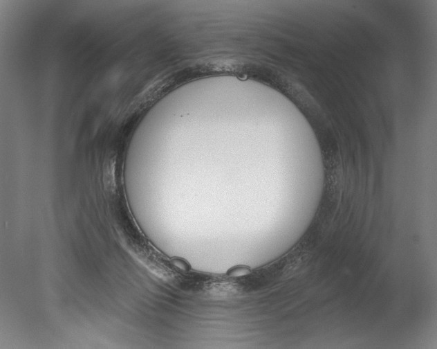 X0000080670262200701051016