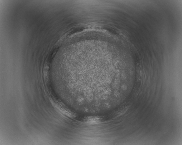 X0000080670263200701051016