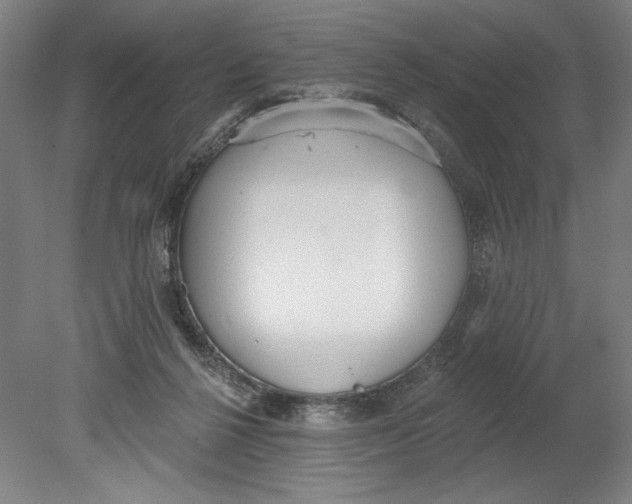 X0000080670264200701051016