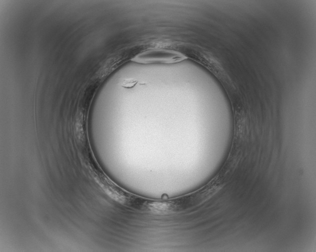 X0000080670265200701051016