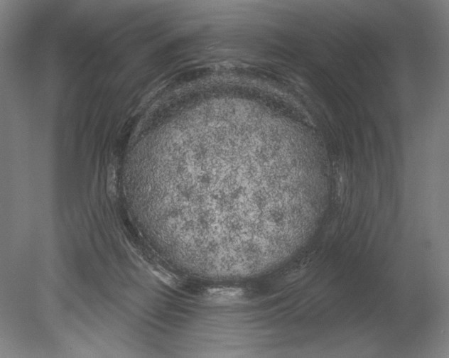 X0000080670266200701051016