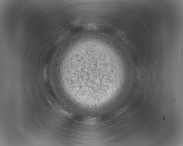 X0000080670267200701051016