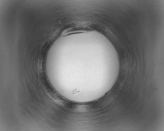 X0000080670268200701051016