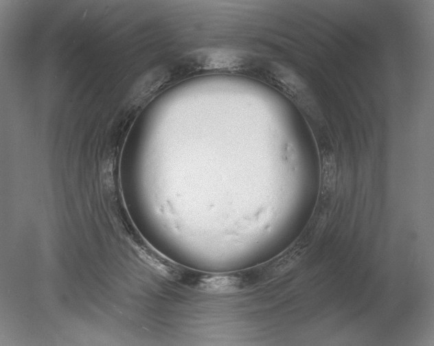 X0000080670269200701051016