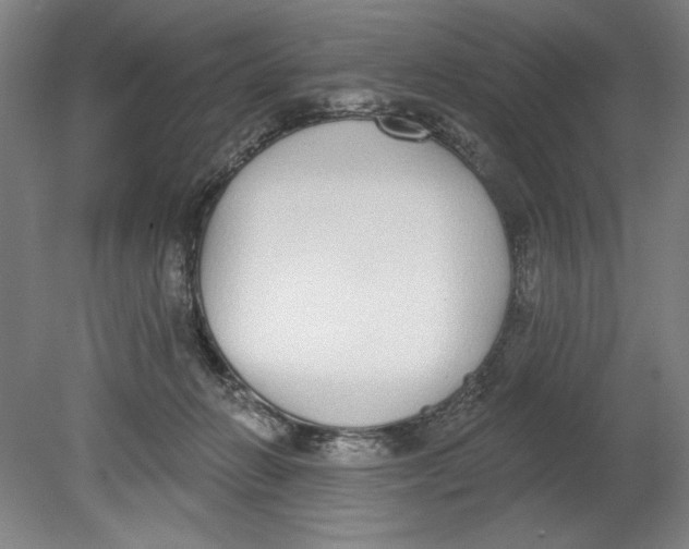 X0000080670270200701051016