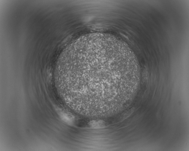 X0000080670271200701051016