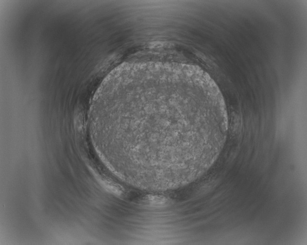 X0000080670272200701051016