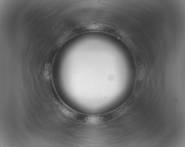 X0000080670273200701051016