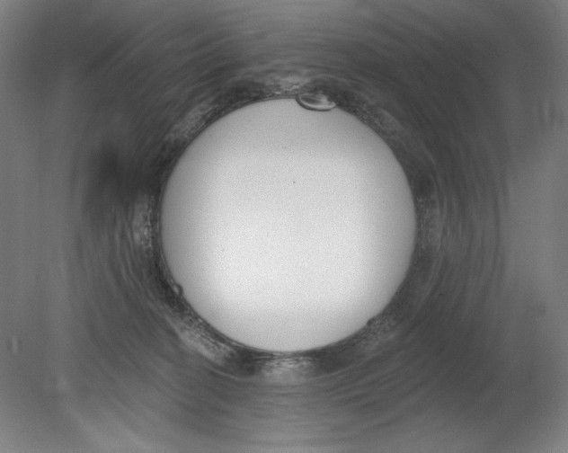 X0000080670274200701051016