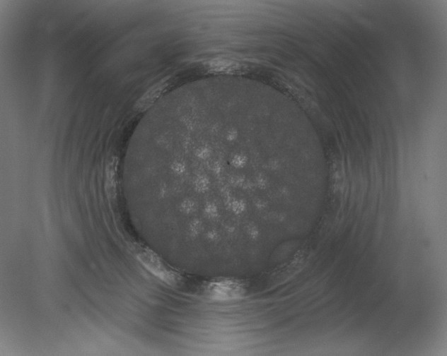 X0000080670275200701051016