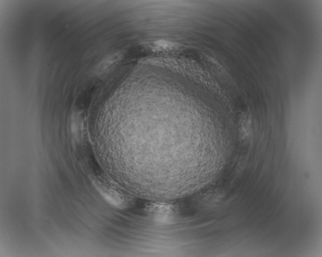 X0000080670276200701051016