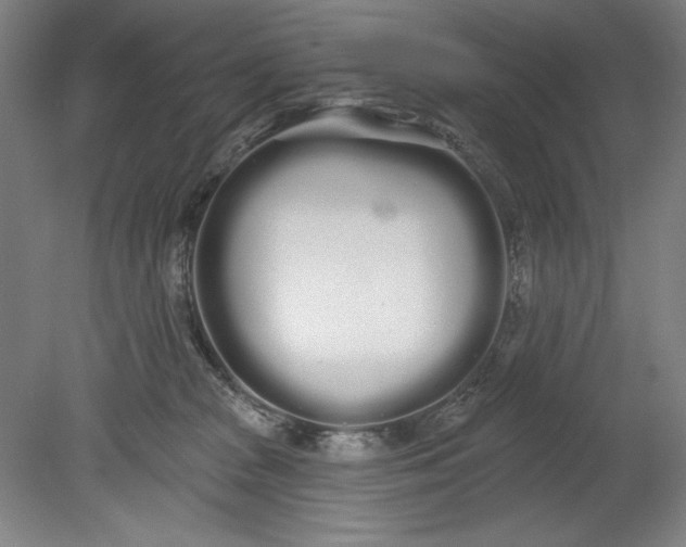 X0000080670277200701051016