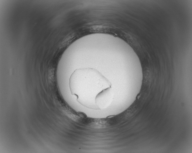 X0000080670278200701051016