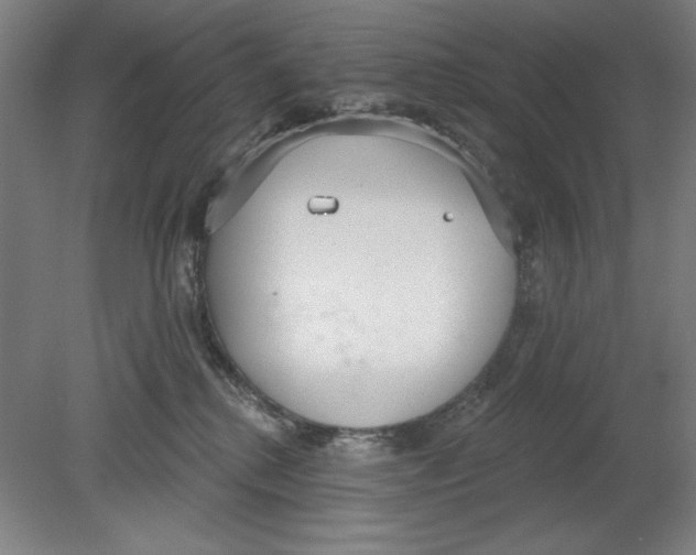 X0000080670280200701051016