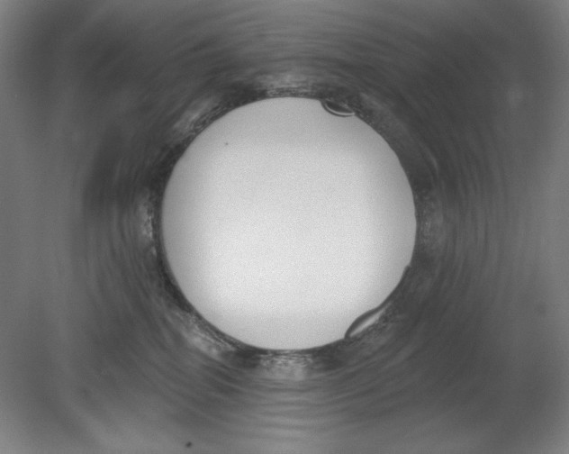 X0000080670282200701051016