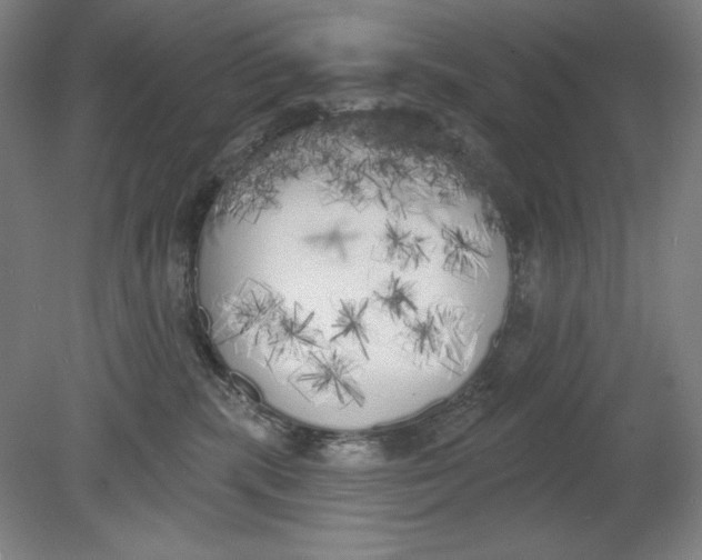 X0000080670283200701051016