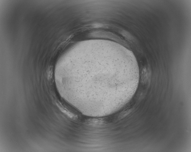 X0000080670284200701051016