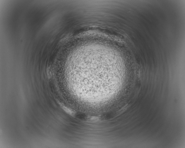 X0000080670285200701051016