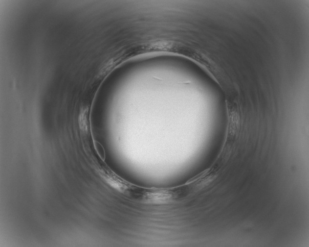 X0000080670286200701051016