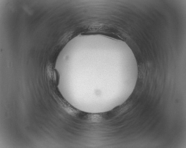 X0000080670287200701051016