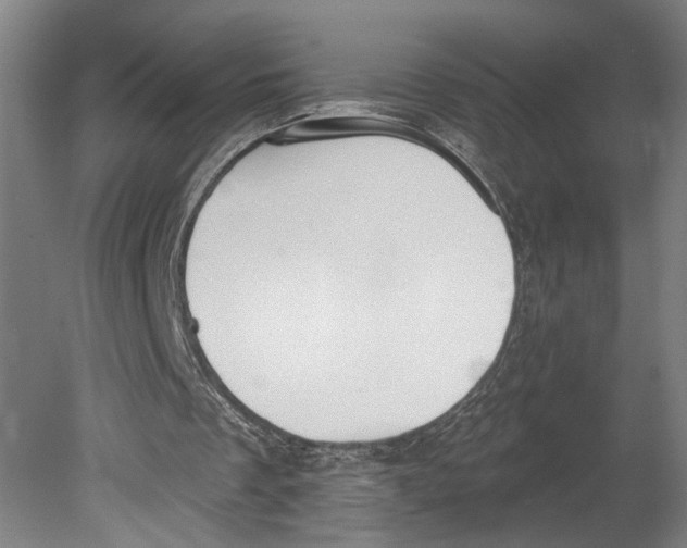 X0000080670289200701051015