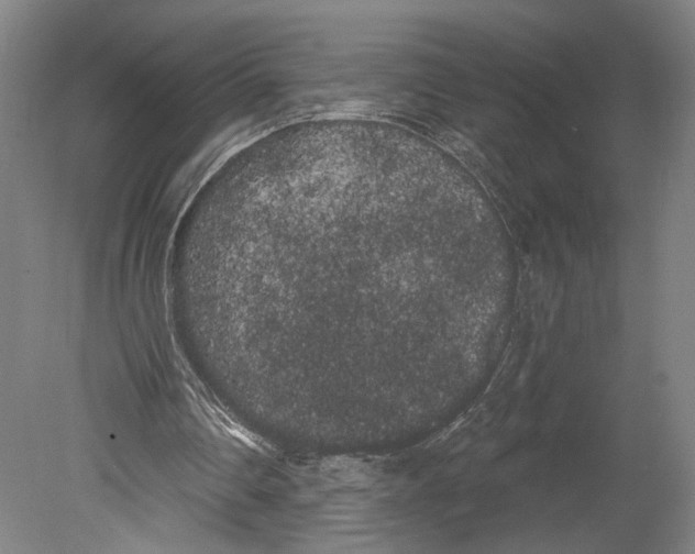 X0000080670290200701051015