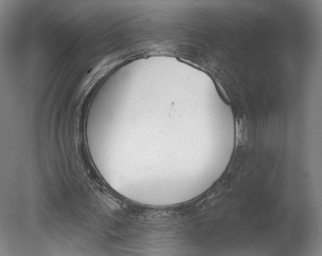 X0000080670291200701051015