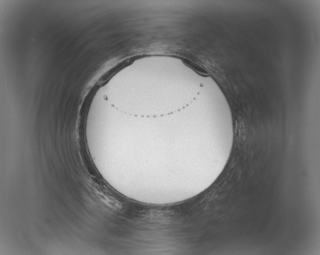 X0000080670292200701051015