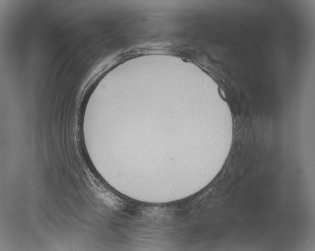 X0000080670293200701051015