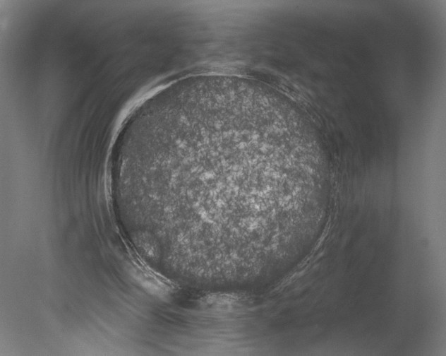 X0000080670294200701051015