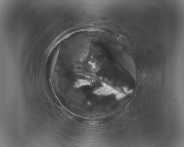 X0000080670295200701051015