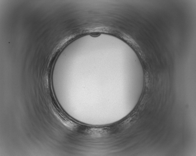 X0000080670298200701051015