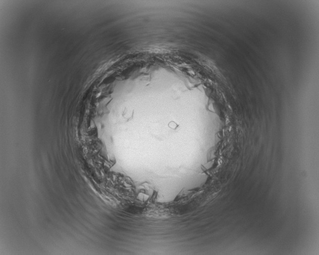 X0000080670299200701051015