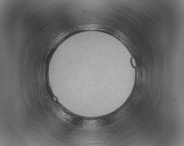 X0000080670301200701051015